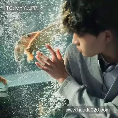 卫华淳